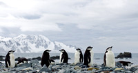 Antarctica  -Leica M9